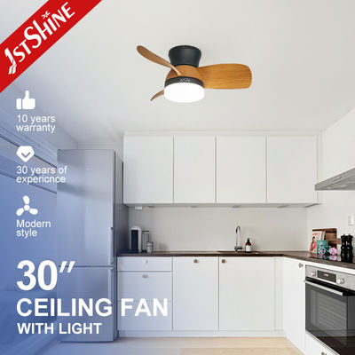 কেনা 110-240V/50Hz-60Hz জল স্থানান্তর রঙের ফলক এবং লাইট সহ আলংকারিক LED সিলিং ফ্যান অনলাইনে উৎপাদন