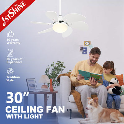 1stshine সাদা ব্লেড এবং 6 গতির সাথে সিলিং ফ্যান লাইট 110-240V / 50Hz-60Hz ইনপুট ভোল্টেজ