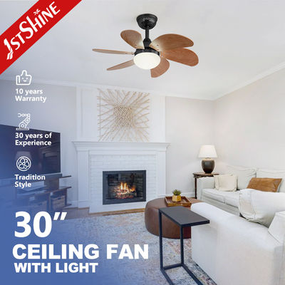 1stshine/OEM লোগো 6 Blades LED Light Kit Residential BLDC Ceiling Fan with 2-
