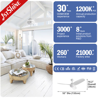 ভালো দাম টেকসই প্লাস্টিকের সিলিং ফ্যান, হালকা ওজনের গঠন এবং শক্তিশালী মোটর সহ যা পাবলিক স্থানগুলিতে কার্যকর শীতলতা প্রদান করে অনলাইন